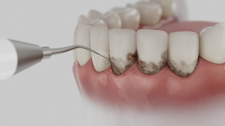 Reliable Dental contractor in Kyle, SD by Dentist Open Now